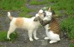 HUG YOU!