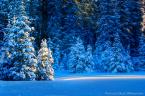 A winter wonderlannddd!