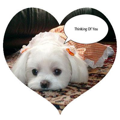 Thinking Of You