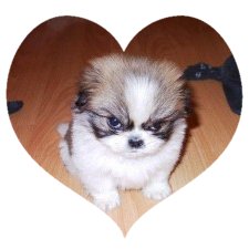 Sending Some Wuv Your Way