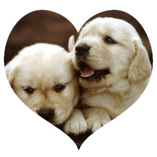 Hugs & Kisses