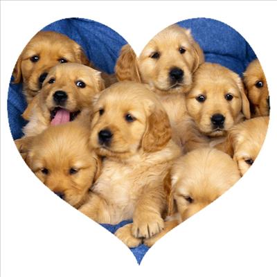 Sending Bunches Of Wuv