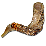 Jericho Shofar