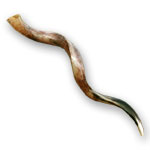 Yemenite Shofar
