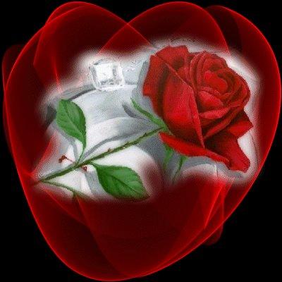 rose