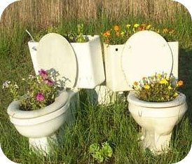 Redneck Flower Garden