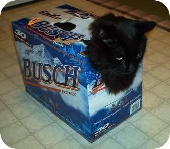 Redneck Cat Carrier