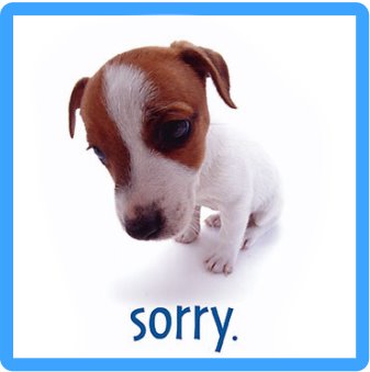 Sorry Puppy