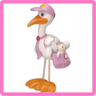 Cigüeña Rosa