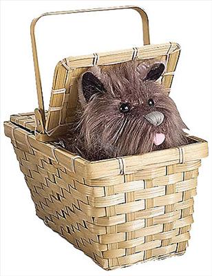 bag