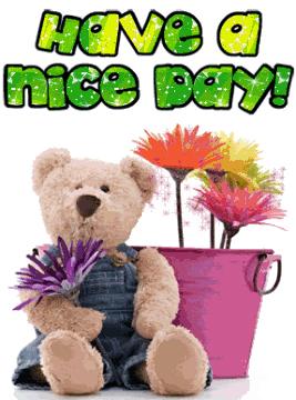 HAVE ANICE DAY 3