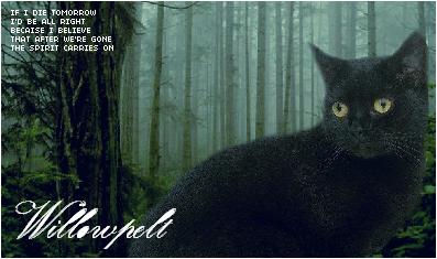 Willowpelt