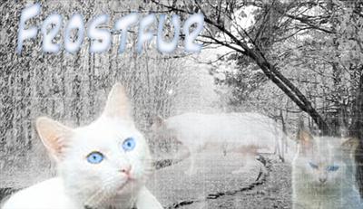 Frostfur