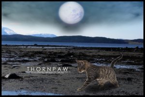Thornpaw