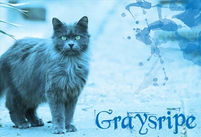Graystripe