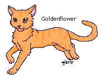 Goldenflower