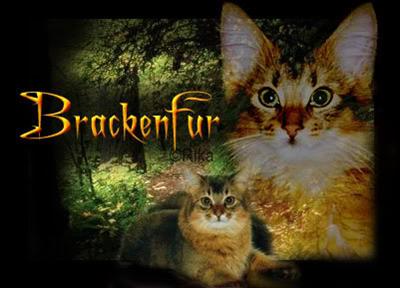 Brackenfur