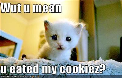 cokie cat