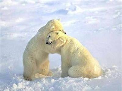 hug