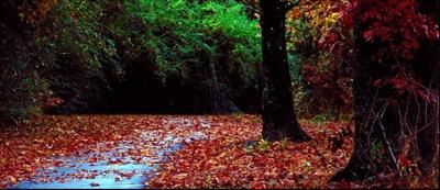 Secret Path