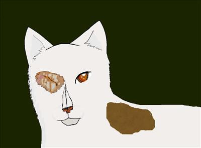 Brightheart