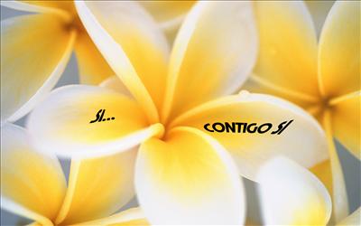 Contigo...SÌ