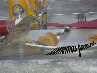 ¿Comemos jumtos?