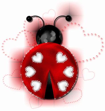 COCCINELLA DELL'AMORE