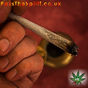 Solid Roll