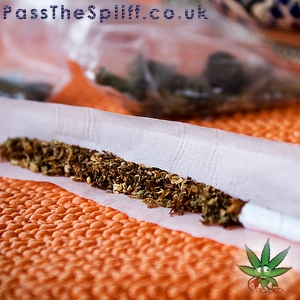 Last Spliff