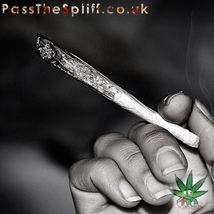 Clean Roll