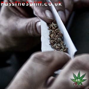 Fag & Leaf