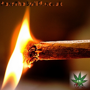 Bob Marley Reef