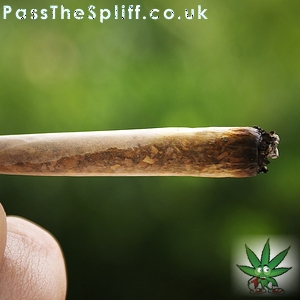 Four Spliffs