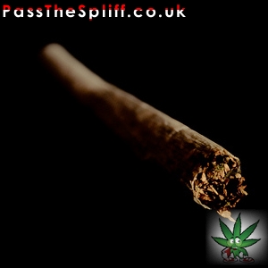 Ashtray Blunt