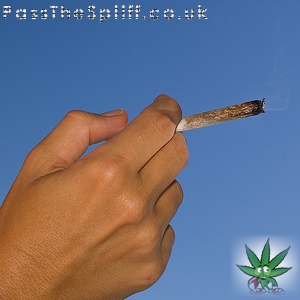 The Joint