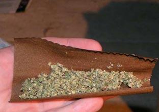 Blunt Skunk