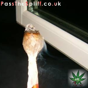 The Supplie