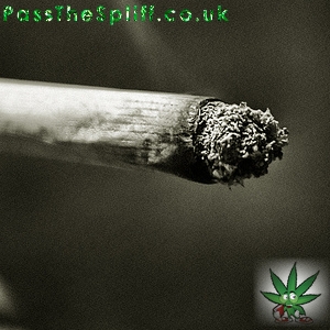Pipe Joint