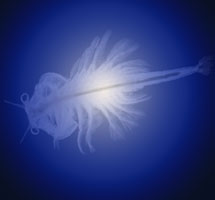 Artemia