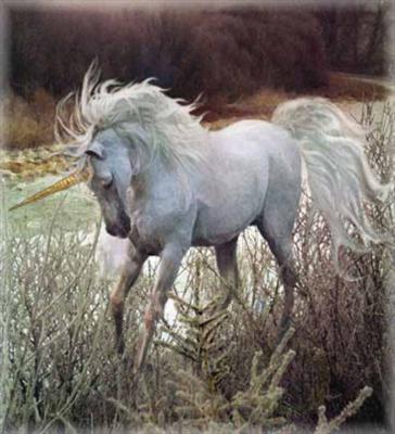 Unicorn