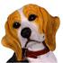 Sad dog