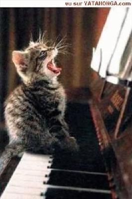 kitty piano