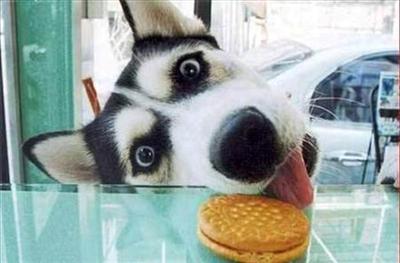 yum yummz