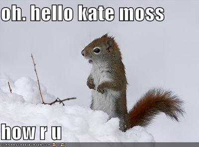 kate moss...?