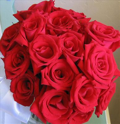 A BEAUTIFUL ROSE BOUQUET, because you are a beauty!