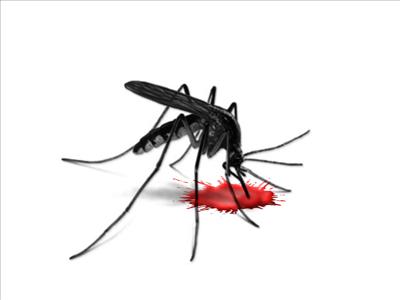 ONE MOSQUITO, to hover around you all day, because you were just a little annoying with that one!
