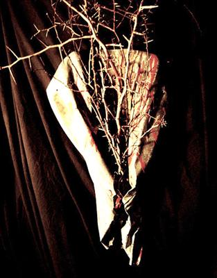 NOTHING BUT THE THORNS, because you really messed this one up honey!
