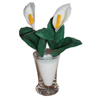 Origami Lysichiton