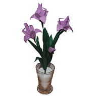 Origami Iris Laevigata